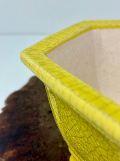 Chinese Yixing Bonsai Pot | Hexagon Yellow Crackled / Inked Glaze – 21 cm