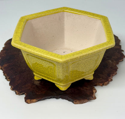 Chinese Yixing Bonsai Pot | Hexagon Yellow Crackled / Inked Glaze – 21 cm