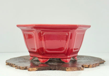 Chinese Yixing Bonsai Pot | Hexagon Red Glaze – 21 cm