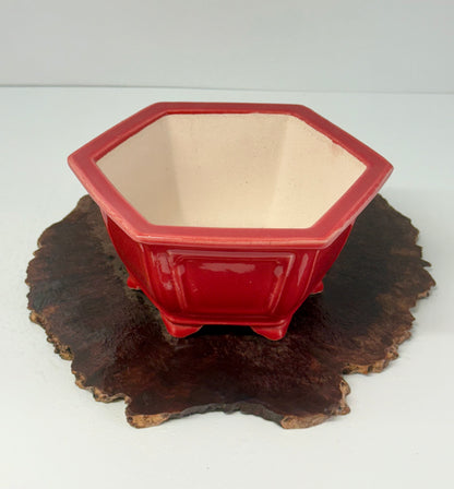Chinese Yixing Bonsai Pot | Hexagon Red Glaze – 21 cm