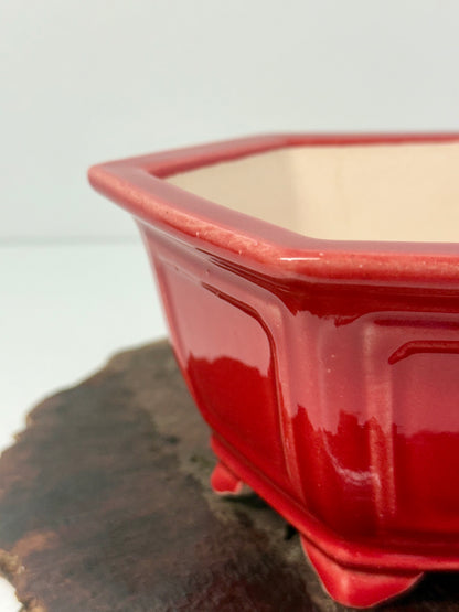 Chinese Yixing Bonsai Pot | Hexagon Red Glaze – 21 cm