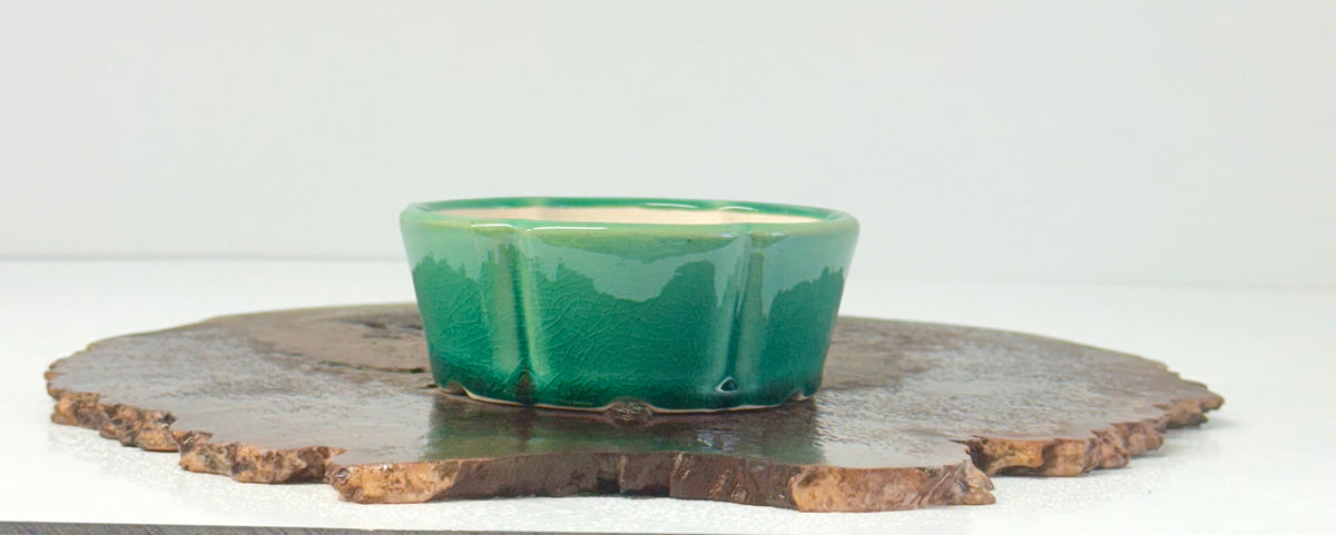 Chinese Yixing Bonsai Pot | Lotus Green Glaze – 11 cm
