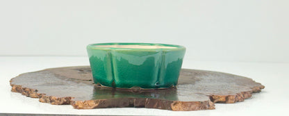 Chinese Yixing Bonsai Pot | Lotus Green Glaze – 11 cm