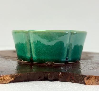 Chinese Yixing Bonsai Pot | Lotus Green Glaze – 11 cm