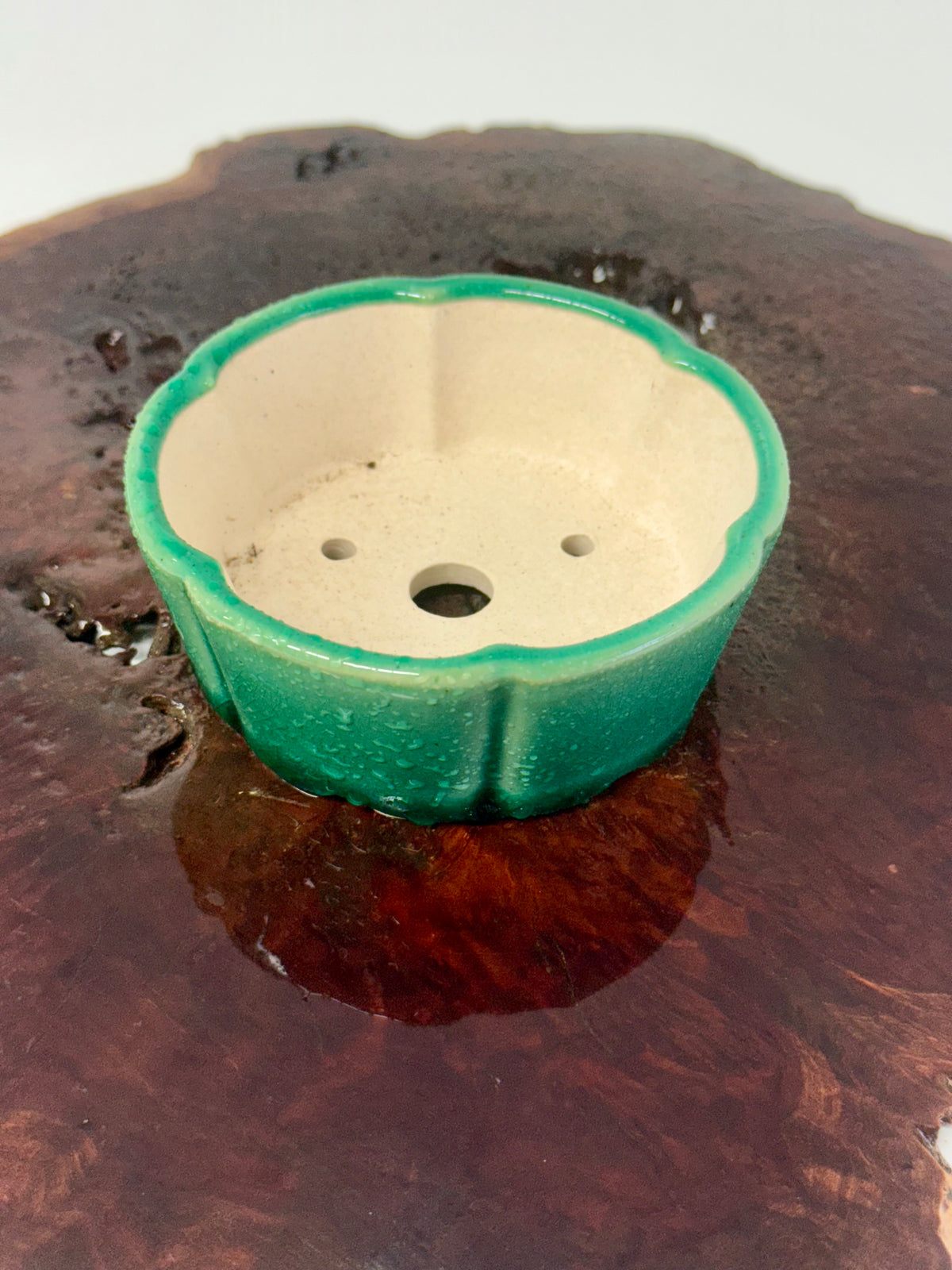Chinese Yixing Bonsai Pot | Lotus Green Glaze – 11 cm