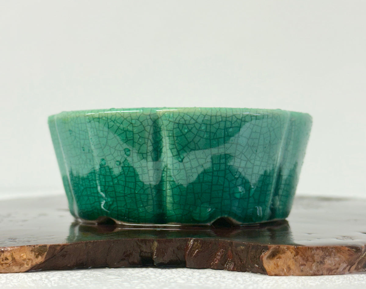 Chinese Yixing Bonsai Pot | Lotus Crackled / Inked Green Glaze – 11 cm