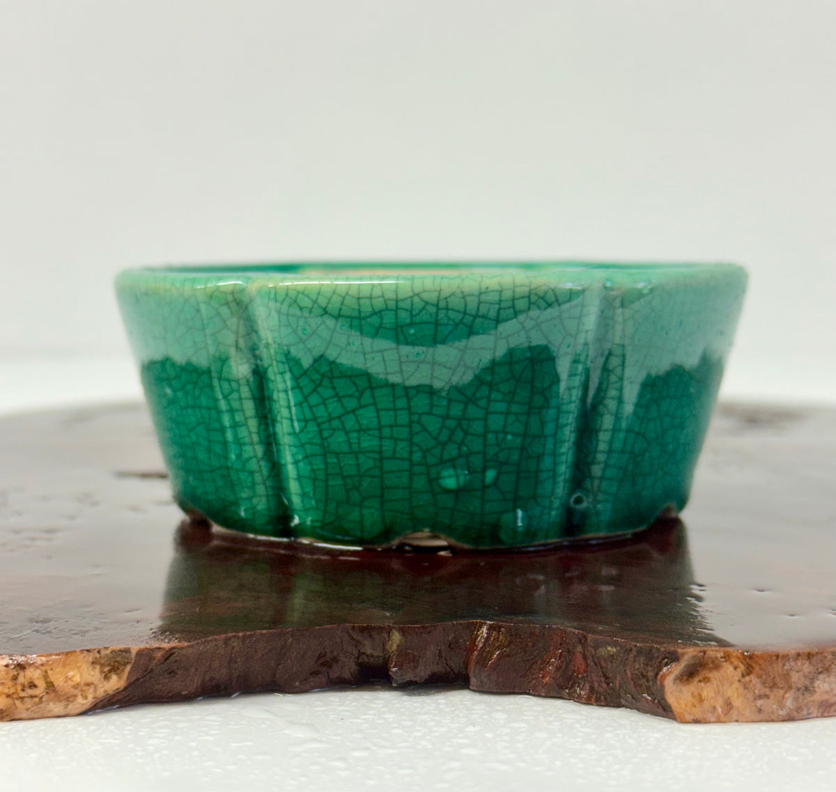 Chinese Yixing Bonsai Pot | Lotus Crackled / Inked Green Glaze – 11 cm