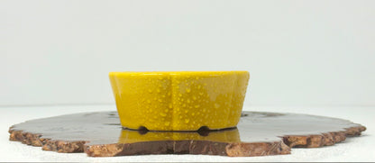 Chinese Yixing Bonsai Pot | Lotus Yellow Glaze – 11 cm