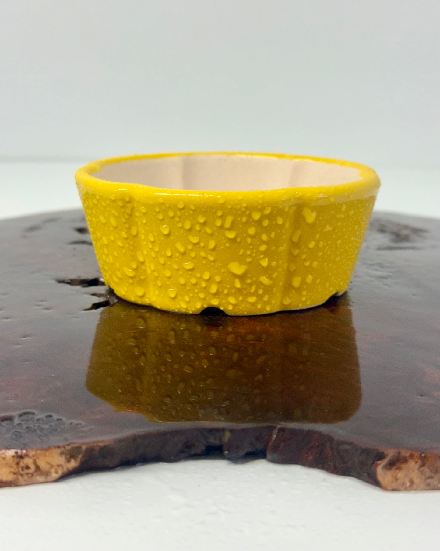 Chinese Yixing Bonsai Pot | Lotus Yellow Glaze – 11 cm
