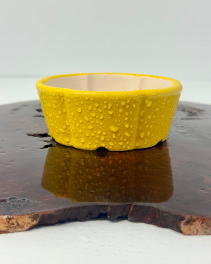 Chinese Yixing Bonsai Pot | Lotus Yellow Glaze – 11 cm