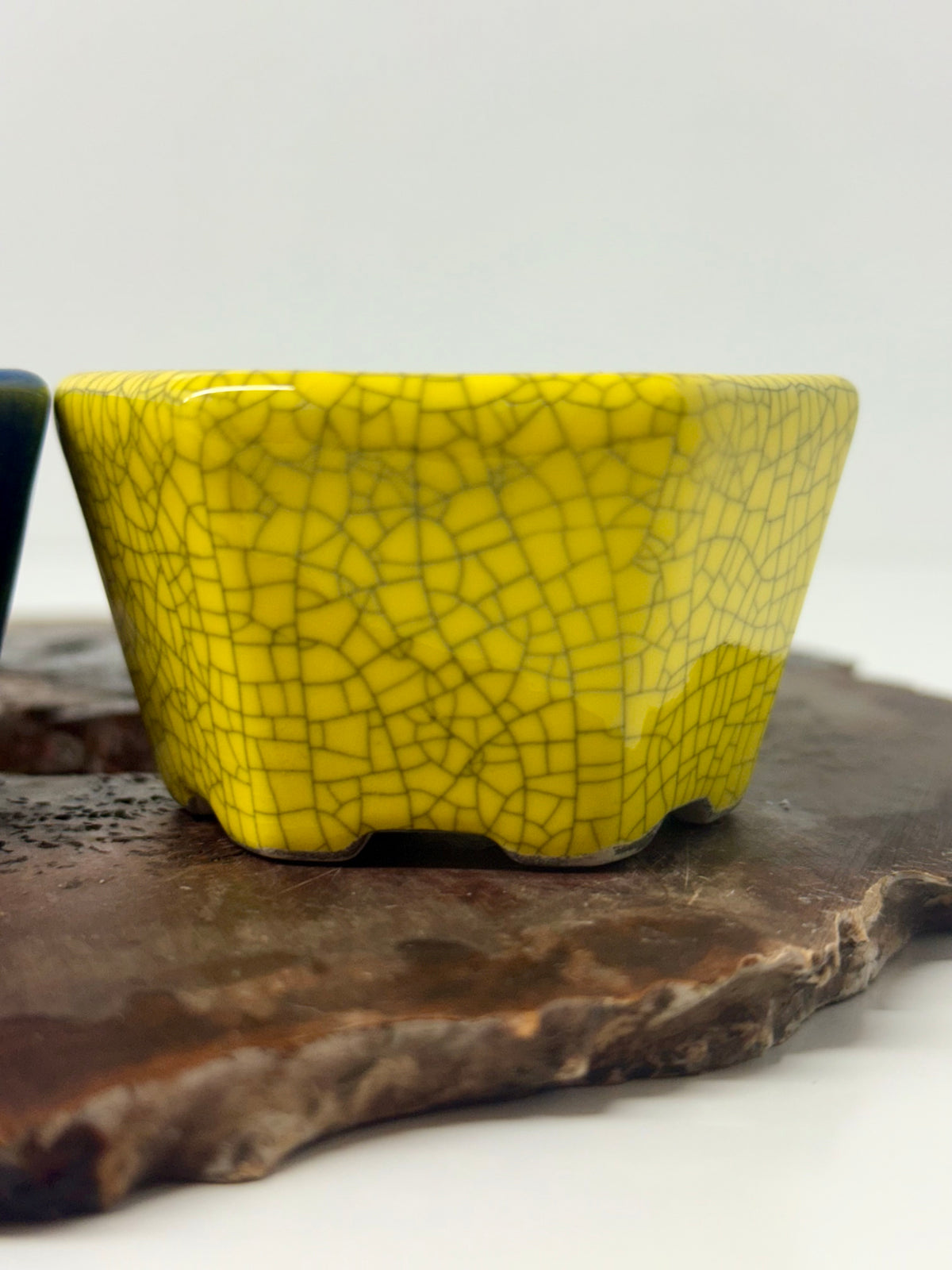 Chinese Yixing Bonsai 4 Pot Set | Mixed Glazes – 7 cm