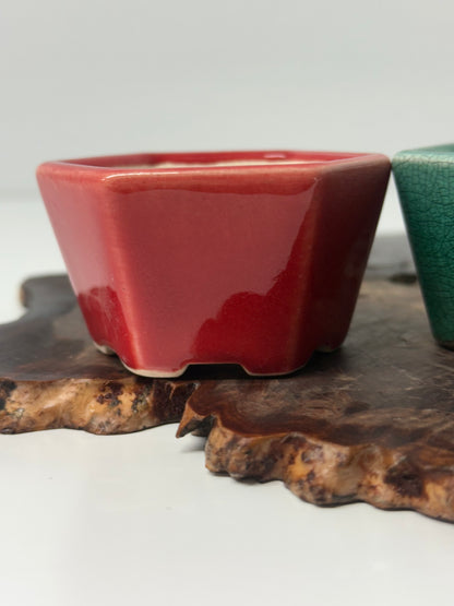 Chinese Yixing Bonsai 4 Pot Set | Mixed Glazes – 7 cm
