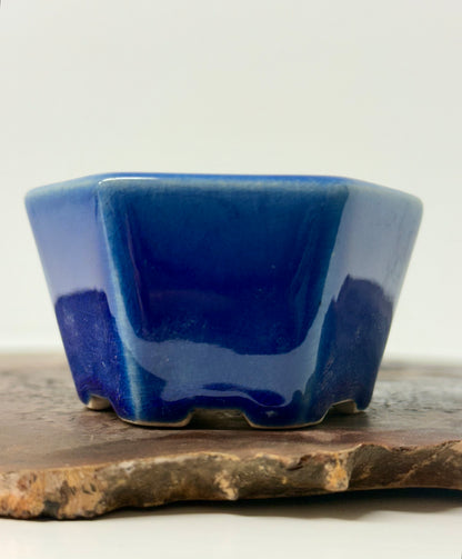 Chinese Yixing Bonsai 4 Pot Set | Mixed Glazes – 7 cm