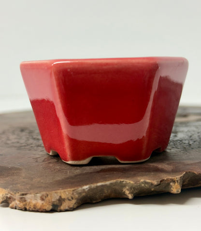 Chinese Yixing Bonsai 4 Pot Set | Mixed Glazes – 7 cm