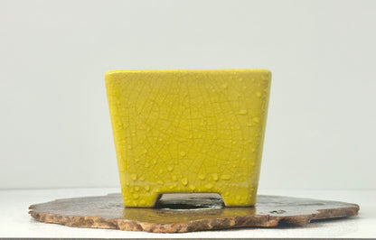 Chinese Yixing Bonsai Pot | Square Yellow Crackled / Inked Glaze – 13.5 cm