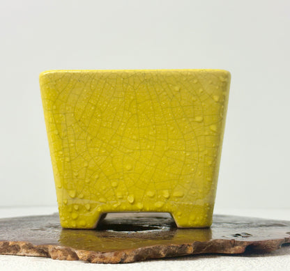 Chinese Yixing Bonsai Pot | Square Yellow Crackled / Inked Glaze – 13.5 cm