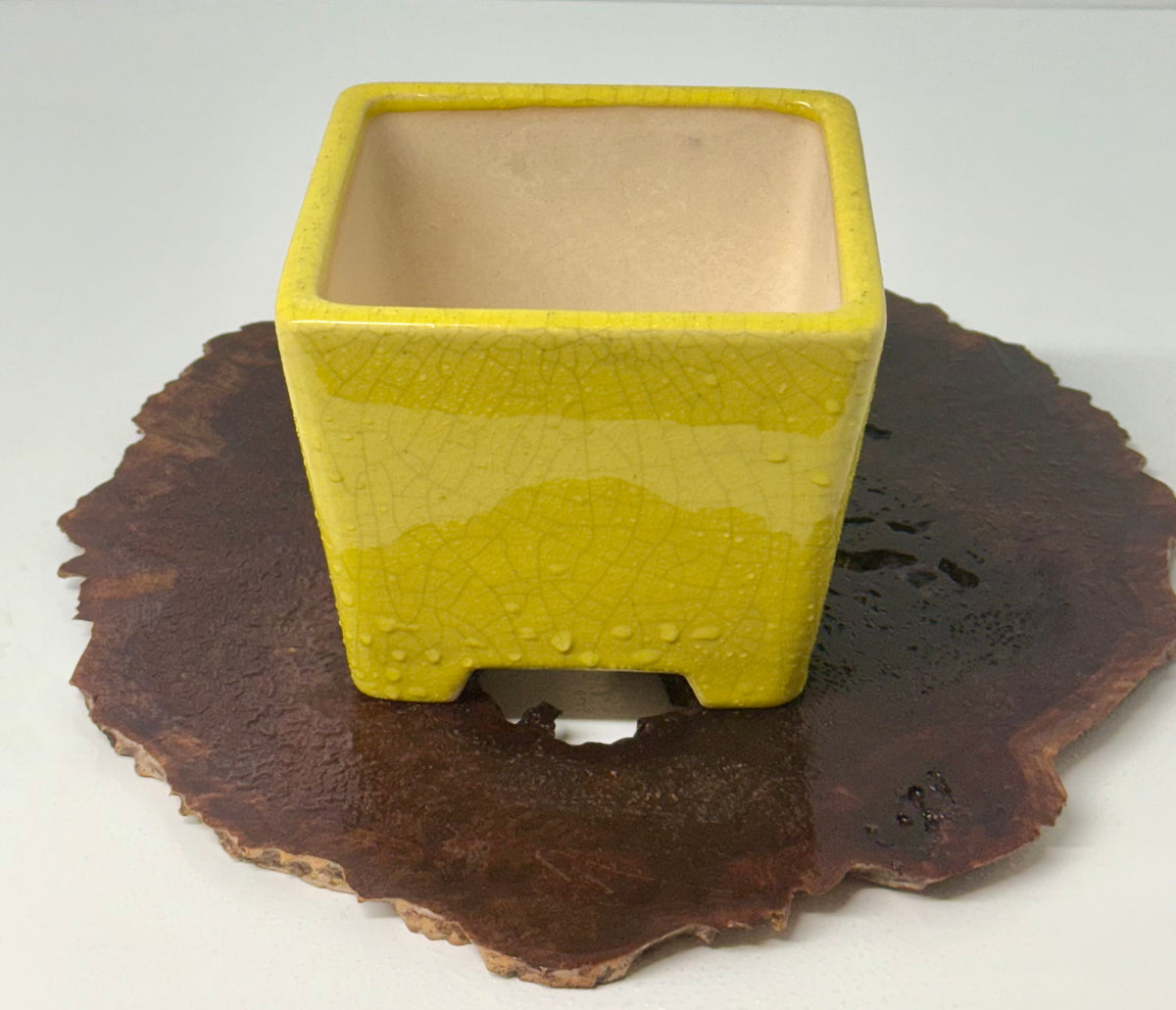 Chinese Yixing Bonsai Pot | Square Yellow Crackled / Inked Glaze – 13.5 cm