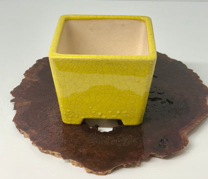 Chinese Yixing Bonsai Pot | Square Yellow Crackled / Inked Glaze – 13.5 cm