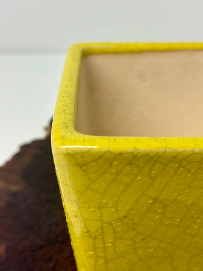 Chinese Yixing Bonsai Pot | Square Yellow Crackled / Inked Glaze – 13.5 cm