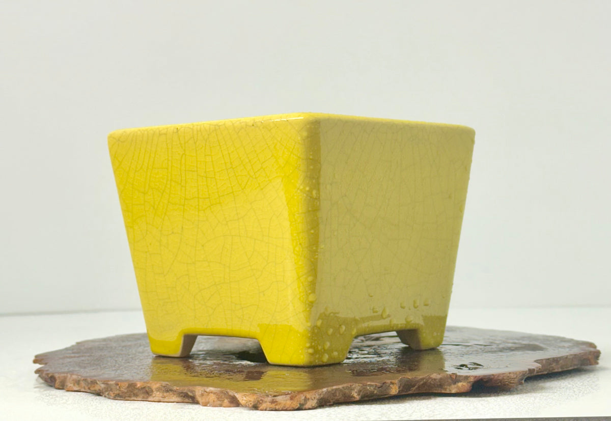 Chinese Yixing Bonsai Pot | Square Yellow Crackled / Inked Glaze – 13.5 cm