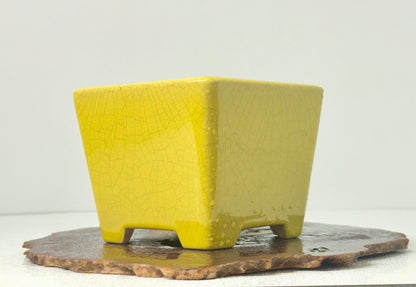 Chinese Yixing Bonsai Pot | Square Yellow Crackled / Inked Glaze – 13.5 cm