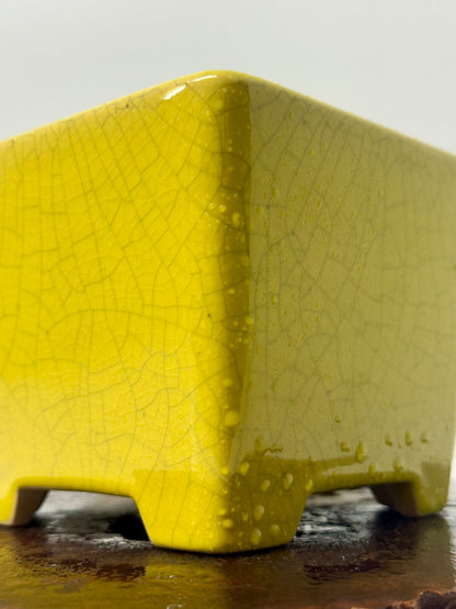 Chinese Yixing Bonsai Pot | Square Yellow Crackled / Inked Glaze – 13.5 cm