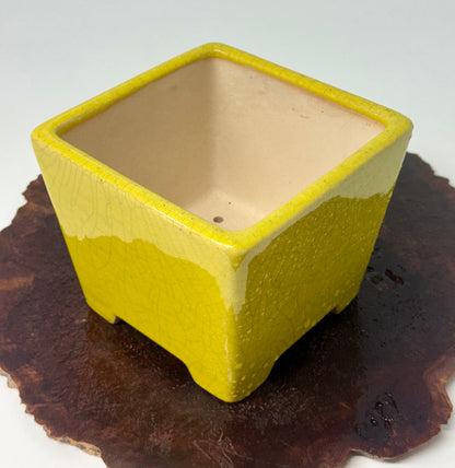 Chinese Yixing Bonsai Pot | Square Yellow Crackled / Inked Glaze – 13.5 cm