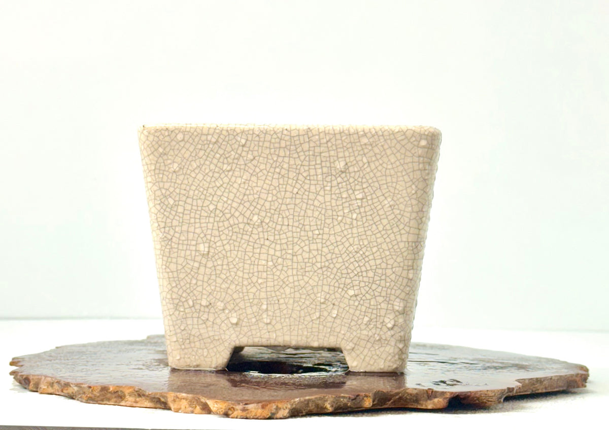Chinese Yixing Bonsai Pot | Square Cream Crackled / Inked Glaze – 13.5 cm