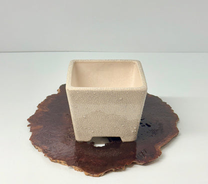 Chinese Yixing Bonsai Pot | Square Cream Crackled / Inked Glaze – 13.5 cm