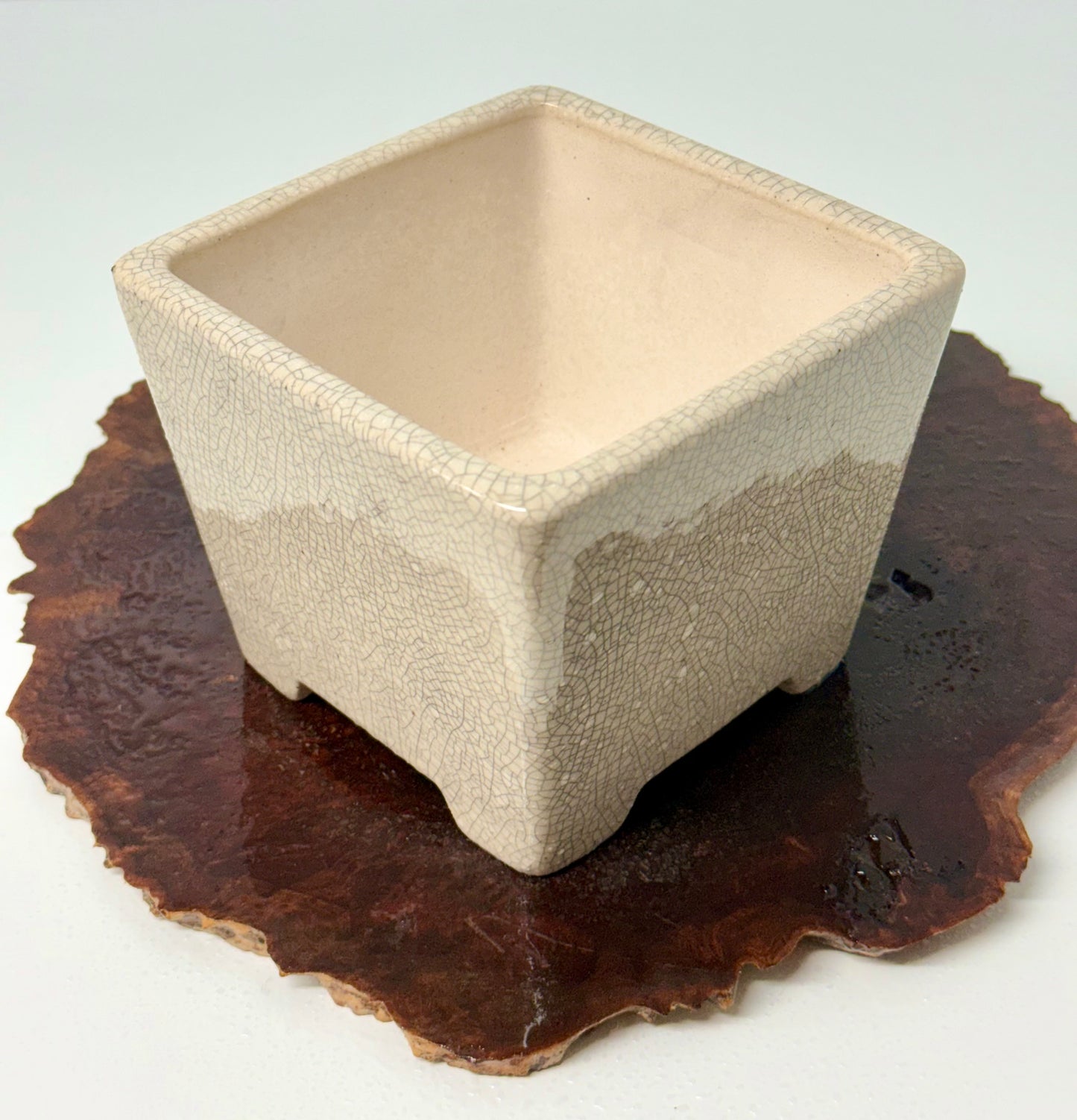 Chinese Yixing Bonsai Pot | Square Cream Crackled / Inked Glaze – 13.5 cm