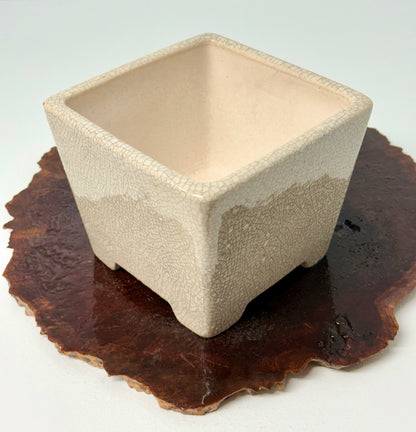 Chinese Yixing Bonsai Pot | Square Cream Crackled / Inked Glaze – 13.5 cm