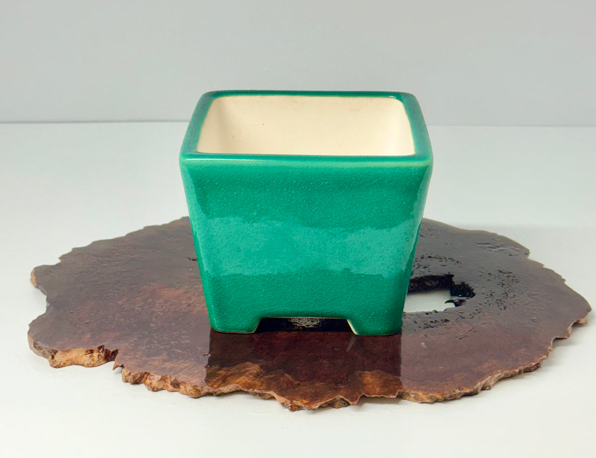 Chinese Yixing Bonsai Pot | Square Green Glaze – 13.5 cm