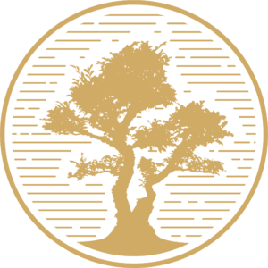Way of Life Bonsai Ltd logo showing the silhouette of premium bonsai tree for sale UK