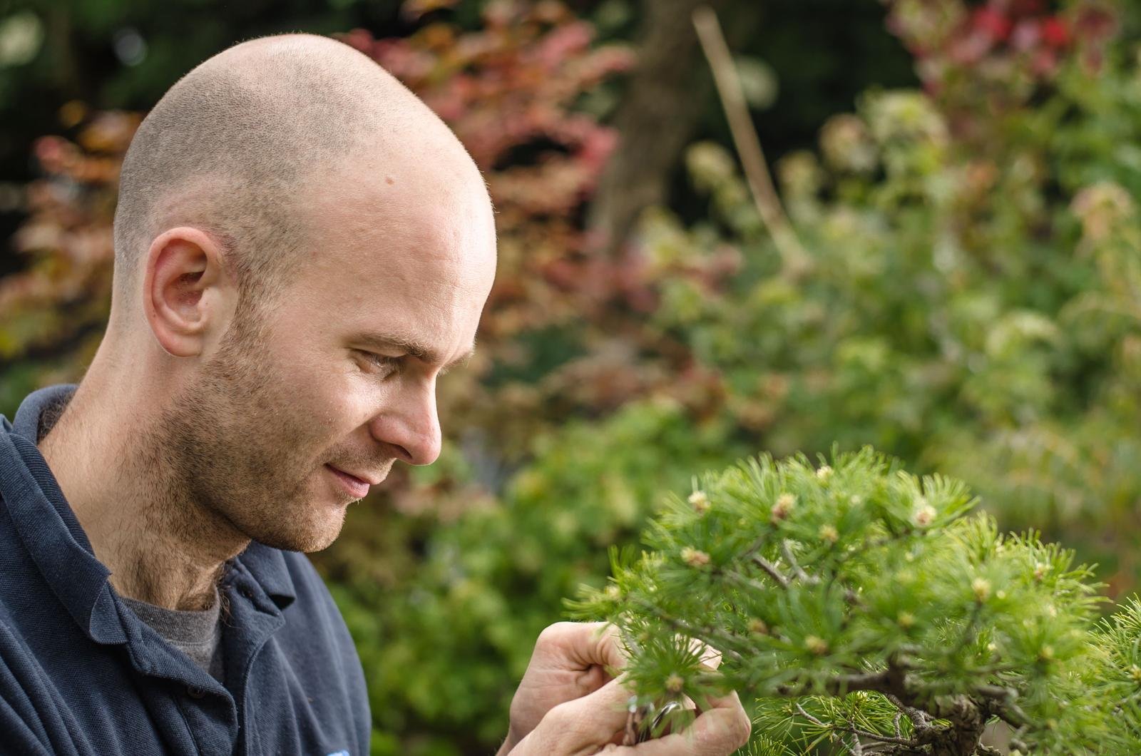 bonsai by Peter warren UK bonsai expert way of life